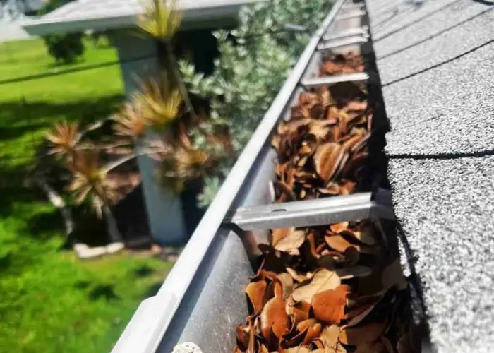 Cary gutter cleaning home page